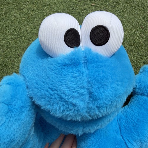 Sesame street cookie - sesame, monster